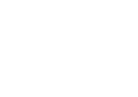 Standard logo