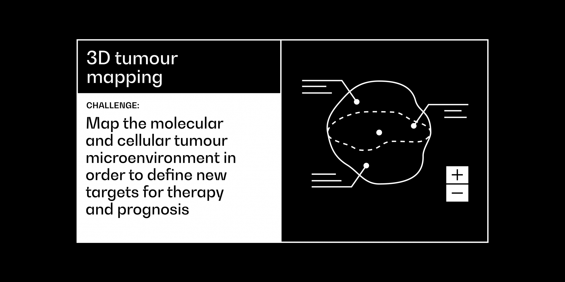 3D tumour mapping challenge