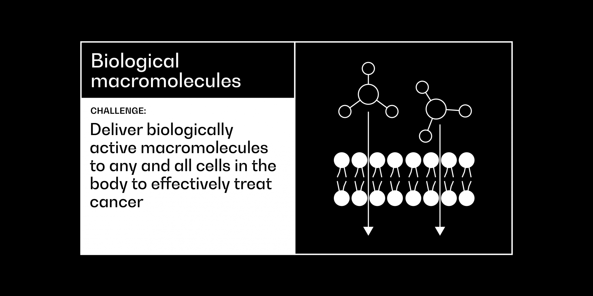 Biological macromolecules cancer grand challenge