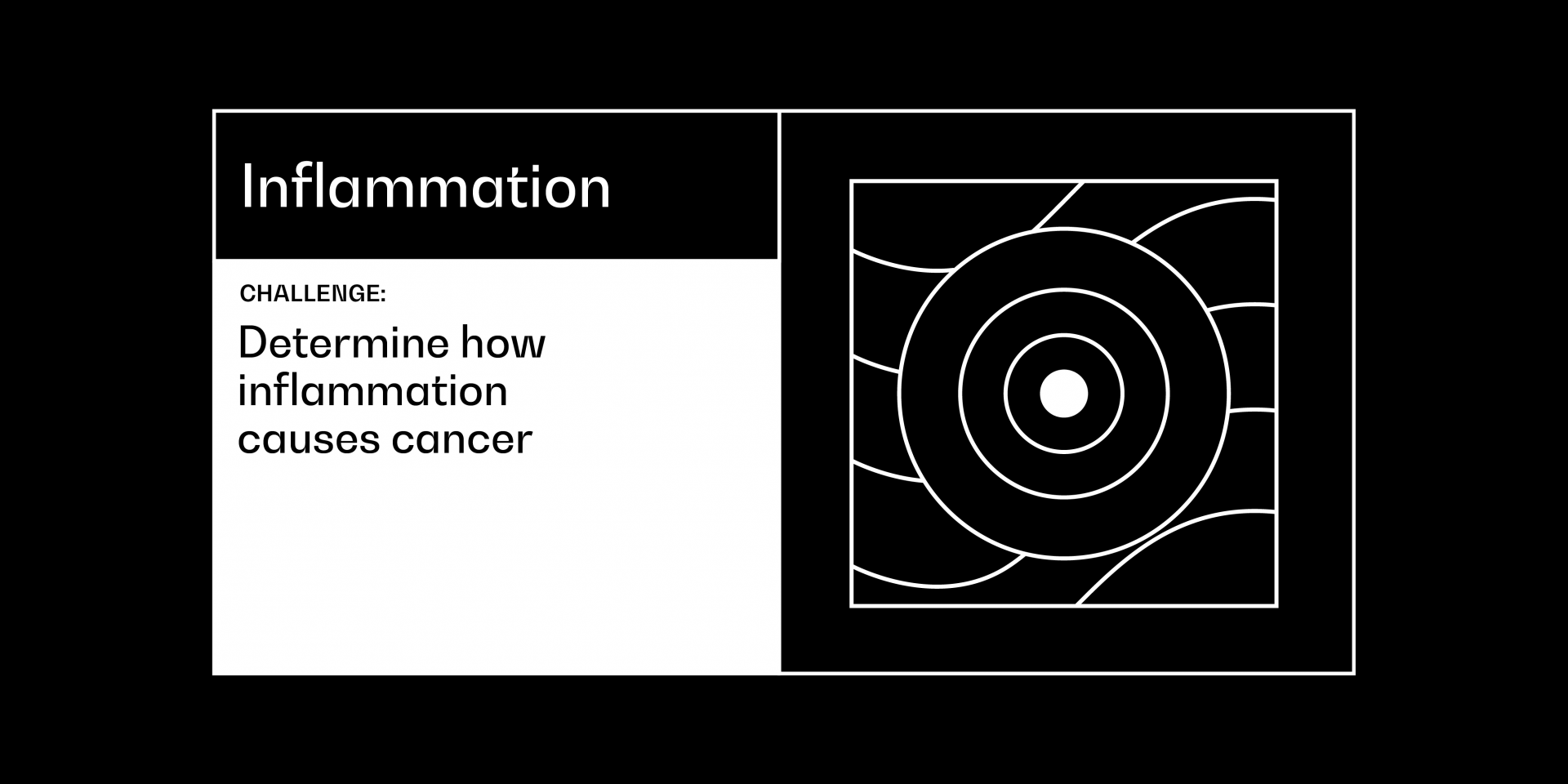 Inflammation cancer grand challenge