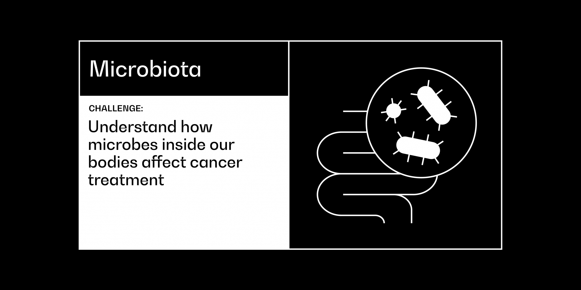 Microbiota cancer grand challenge