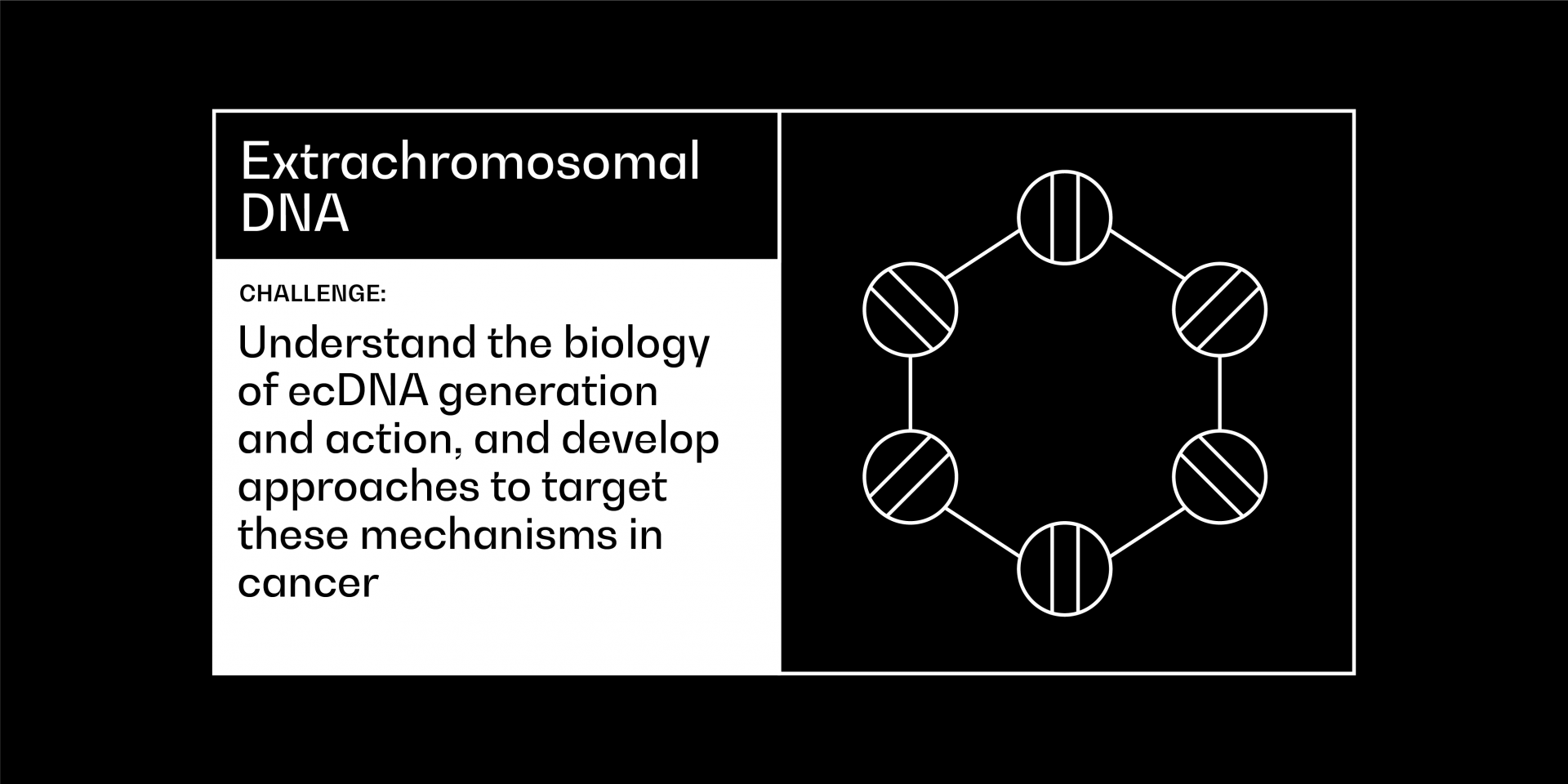 extrachromosomal DNA challenge