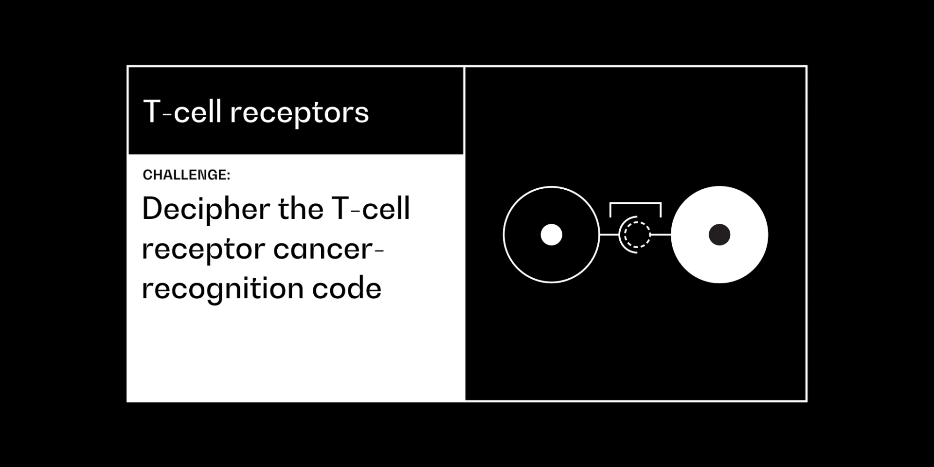 t-cell receptors hero