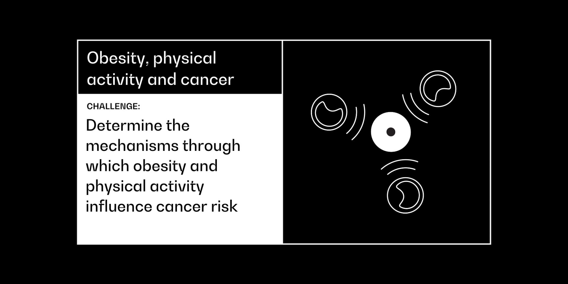 Obesity, physical activity and cancer  hero
