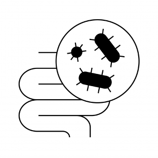 Microbiota Icon
