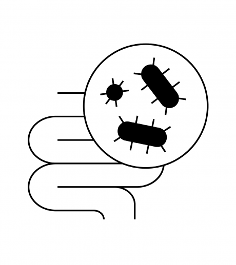 Microbiota icon