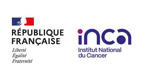 French institute logo