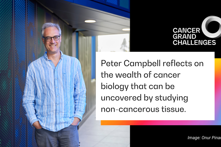 Image card of Peter Campbell