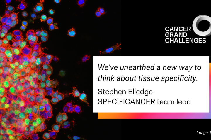 SPECIFICANCER header with quote from Stephen Elledge