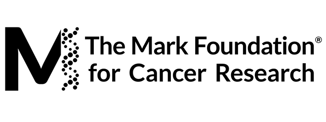 Mark Foundation