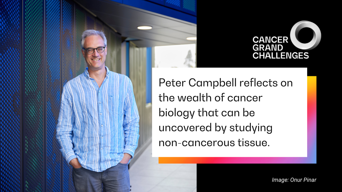 Image card of Peter Campbell