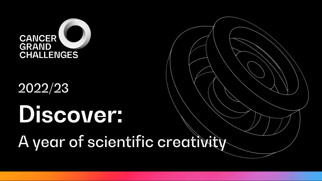 Discover: A year of scientific creativity 