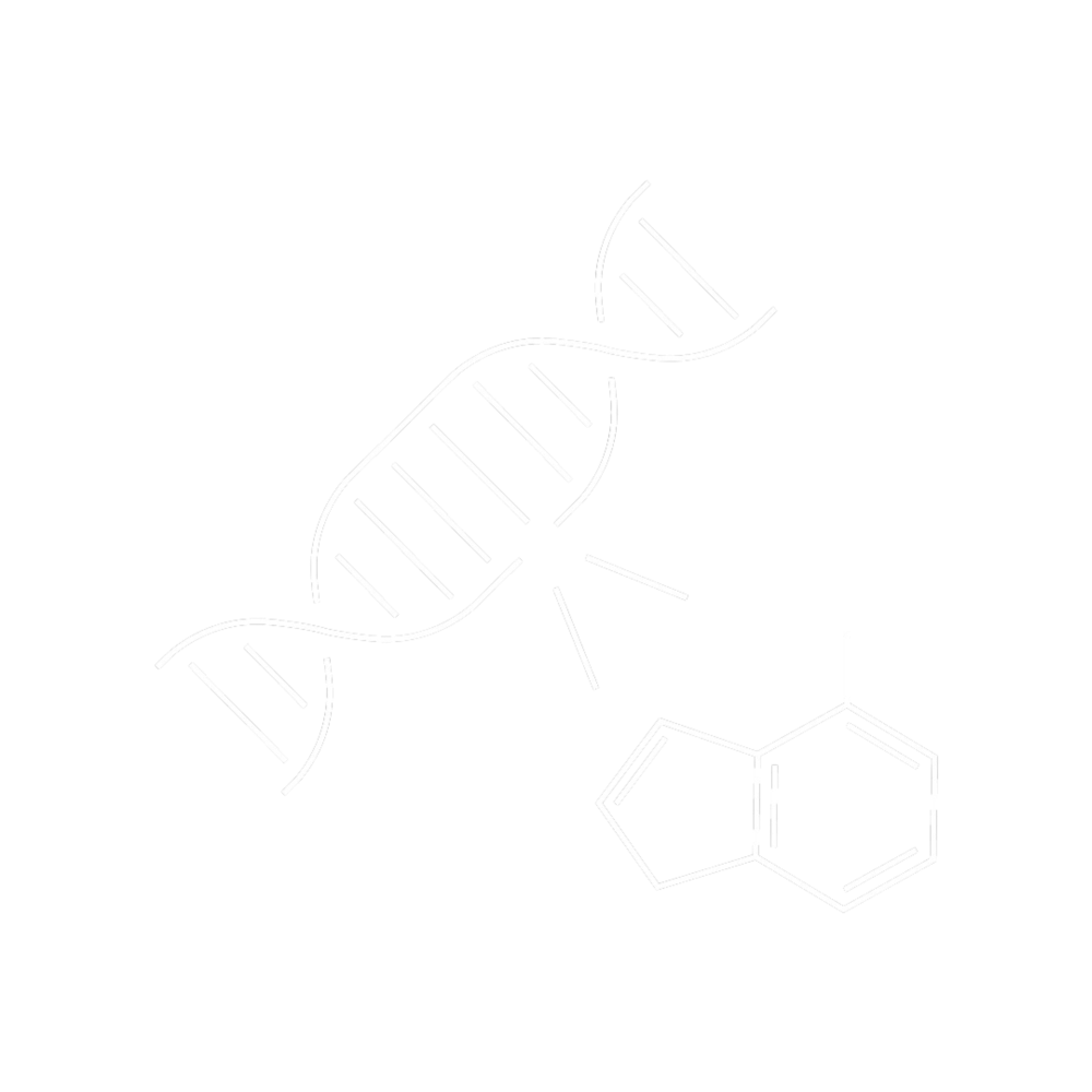 Mechanisms driving mutational signatures challenge icon