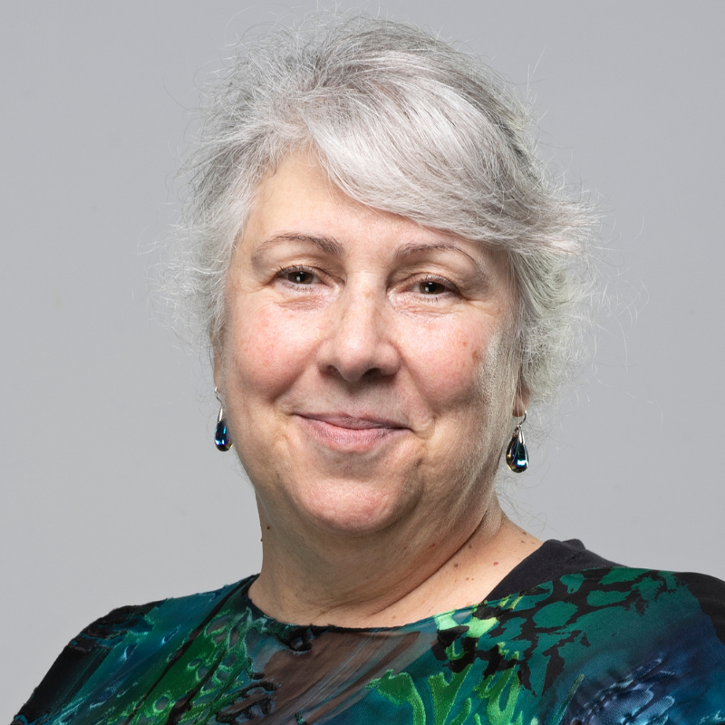 Professor Thea Tlsty, Principal Investigator, STORMing Cancer 